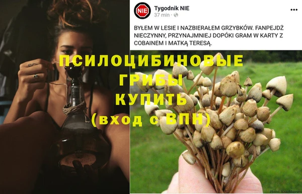 скорость Алексеевка