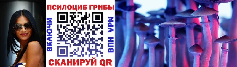 Псилоцибиновые грибы мицелий  дарк нет как зайти  Казань 